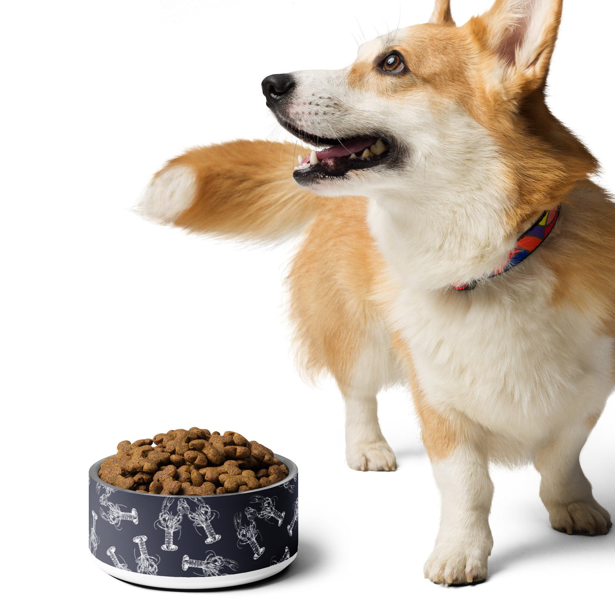 Nauti Love Lobster Coastal Preppy Pet bowl