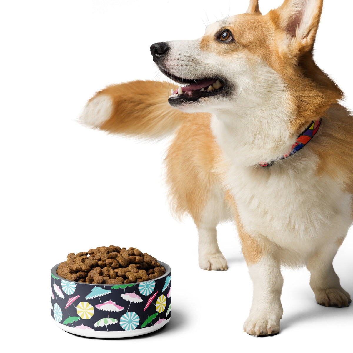 Beach Umbrella Party Coastal Preppy Pet bowl