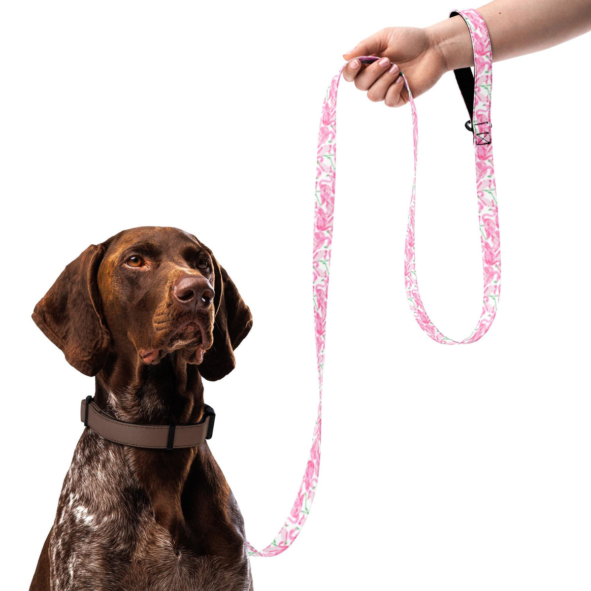 Palm Springs Flamingo Pet leash