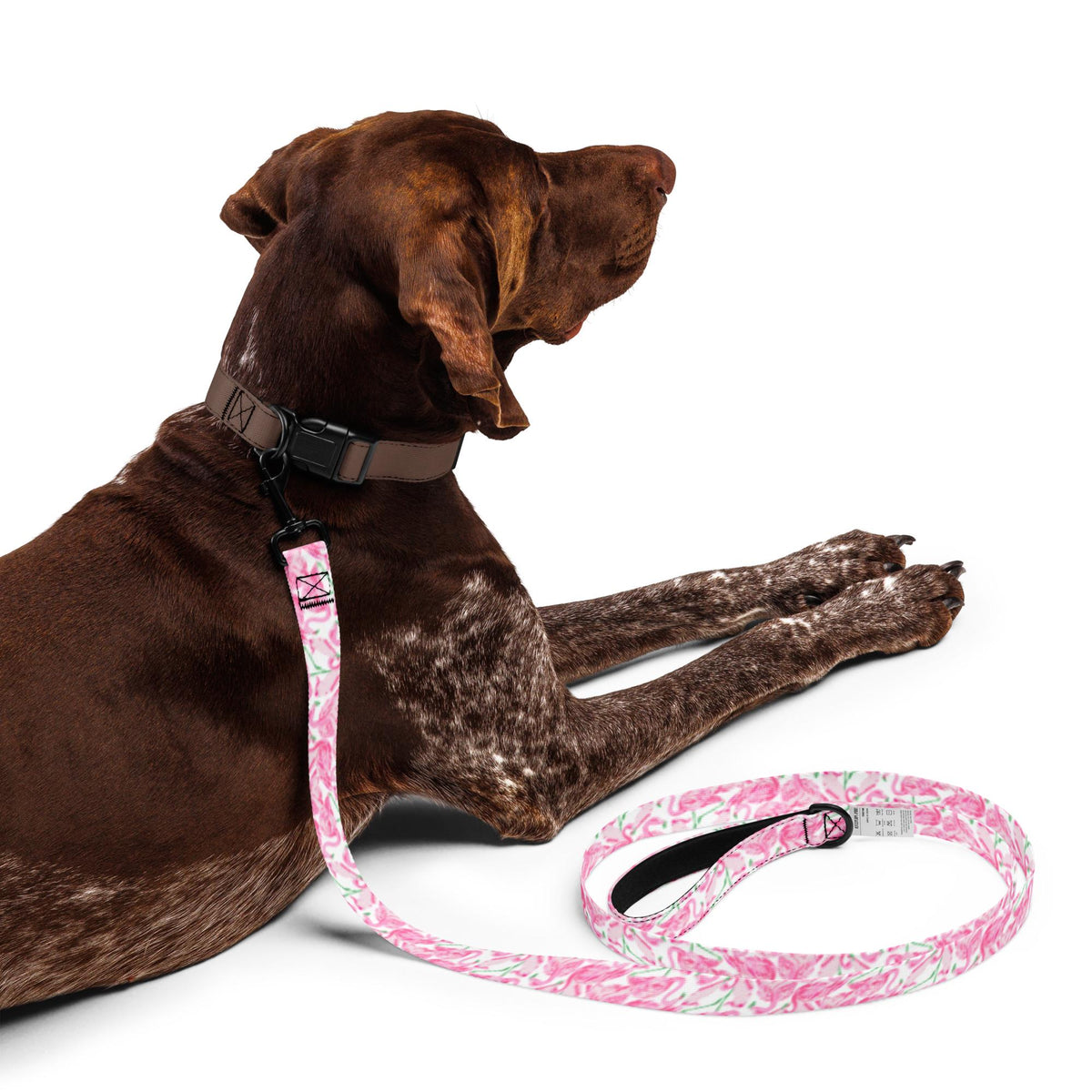 Palm Springs Flamingo Pet leash