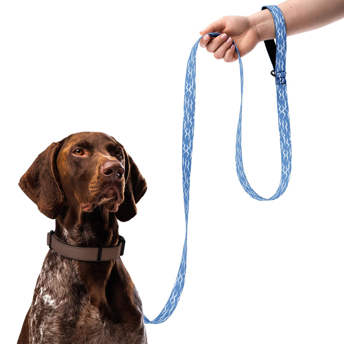 Shark Waves Pet leash